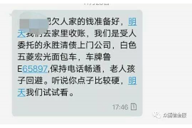 丰城为什么选择专业追讨公司来处理您的债务纠纷？